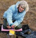 Los Alamos National Laboratory scientist Cathy Wilson measuring how soil properties change with depth at the DOE Next Generation Ecosystem Experiment, NGEE-Arctic, field site near Barrow, Alaska.