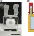 (a)	The white ring is a ceramic helical insert on which the screw sample holder is placed. The scale bar is 10 mm. (b) The body of the growth cell is made of quartz glass (orange). Two capillaries of quartz glass with rubber stoppers (yellow) are fixed to the body with an adhesive. Tubes of elastomer (red) are attached to each capillary. After the growth cell is filled with the growth solution (light blue), the tubes are closed with metal wires (arrows). (c) Schematic illustration of the growth cell.