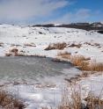 This is a wintertime view of wetlands in Douglas County, Washington.