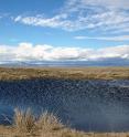 This image shows a wetland in Douglas County, Washington.