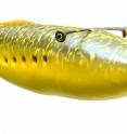 This is a reconstruction illustrating what Tully monster looked like.