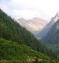 In the foreground, recovering forest in China's Wolong Nature Reserve. In the background are deforested areas.