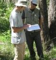 Brian Harvey, former graduate student in Zoology Professor Monica Turner's laboratory at UW-Madison (right), and Daniel Donato from the Washington State Department of Natural Resources, conducting field studies in Greater Yellowstone National Park.