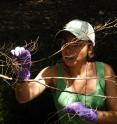 Ramsa Chaves-Ulloa, who received her Ph.D. from Dartmouth College, collects spiders as part of a study that found more mercury than previously thought is moving from aquatic to land food webs when stream insects are consumed by spiders.