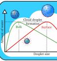 Cloud droplets form when the amount of water vapor reaches a threshold value. Larger cloud droplets form when organic molecules (in red) are present on the surface instead of dissolving in the interior, or bulk, of the droplet.