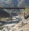 Drought has drained California's Tuolumne River, leaving riverbed where there was water.