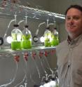 Dr. Timothy Devarenne studies the biofuel properties of a common green microalga called <em>Botryococcus braunii</em> in his lab at Texas A&M University.