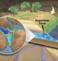 Scientists call the area along a river where river water and groundwater mix the hyporheic zone. The circular inset illustrates some of the features of this zone, including tiny grains of sediment, water from both sources mixing, and the microbes that actively ply these waters and sediments.