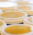 Different strains of the yeast <em>Saccharomyces cerevisiae</em> growing on petri dishes. Genome sequencing shows that many wine yeast strains are almost genetically identical.