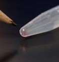 All the movies, images, emails and other digital data from more than 600 basic smartphones (10,000 gigabytes) can be stored in the faint pink smear of DNA at the end of this test tube.