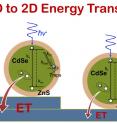 Single nanocrystal spectroscopy identifies the interaction between zero-dimensional CdSe/ZnS nano crystals (quantum dots) and two-dimensional layered tin disulfide as a non-radiative energy transfer, whose strength increases with increasing number of tin disulfide layers. Such hybrid materials could be used in optoelectronic devices such as photovoltaic solar cells, light sensors, and LEDs.