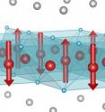 Magnetic order in (Sr,Na)Fe2As2: The crystal structure contains planes of iron atoms (shown as red spheres). Half the iron sites have a magnetization (shown as red arrows), which points either up or down, but the other half have zero magnetization. This shows that the magnetism results from the constructive and destructive interference of two magnetization waves, a clear sign that the magnetic electrons are itinerant, which means they are not confined to a single site. The same electrons are responsible for the superconductivity at lower temperature.