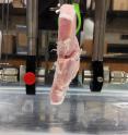 Using samples of store-bought meat, researchers demonstrated how real-time HD video could be transmitted through tissue for in-body ultrasonic communications with implanted medical devices.