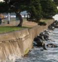 This is a seawall along Harbor Avenue Southwest in the West Seattle neighborhood in Seattle, Washington.