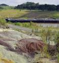 A student digs for fossils in the rock exposed by expansion of the Panama Canal. This is where paleontologists found North America's oldest monkey fossil.