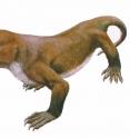 Tritylodontids are the last known family of near-mammalian reptiles, before mammals with features such as advanced hearing evolved. Researchers have uncovered dozens of fossilized teeth in Kuwajima, Japan and identified this as a new species of tritylodontid. This suggests that tritylodontids co-existed with some of the earliest mammal species for millions of years.