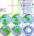 Stratigraphically calibrated phylogeny of Sphenisciformes correlated with tectonic movements and changing ocean circulation in the southern hemisphere showing how: (1) the Australian taxa are dispersed across the phylogeny temporally; (2) the Australian continent becomes progressively more isolated from other southern continents; and (3) a strengthened ACC (indicated by the black arrows) provides a new dispersal vector to Australia despite the presence of a strengthening Antarctic Polar Front (APF). 

<P>The bottom palaeomaps are based on reconstructions in Lawver & Gahagan [9]. Penguin silhouettes show overall trend for decreasing body size in penguin evolution: Top, archaic giant stem penguin taxa; middle medium-sized stem penguin taxa; bottom, smaller crown penguin taxa (silhouette credit: Fir0002/Flagstaffotos (original photo), John E. McCormack, Michael G. Harvey, Brant C. Faircloth, Nicholas G. Crawford, Travis C. Glenn, Robb T. Brumfield & T. Michael Keesey, used under a CC BY 3.0 Attribution Unported Licence (http://creativecommons.org/licenses/by/3.0/))). 
<P>
Palaeoceanographic reconstructions after [9,72-74]. Palaeoceanographic abbreviations: EAC = East Australian Current, pEAC = palaeo-East Australian Current, pRG = palaeo-Ross Sea Gyre/Tasman Current, RG = Ross Sea Gyre. The relative strength of the ACC and APF is shown by thickening arrows and lines though time. Black arrow = cold currents, red arrows = warm currents.