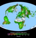 This image shows the change in leaf area across the globe from 1982-2015.