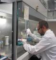 Researcher Juan Carlos Saiz from the Department of Biotechnology of the Instituto Nacional de Investigaci&oacute;n y Tecnolog&iacute;a Agraria y Alimentaria in Madrid studying the Zika virus.