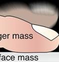 Users are most accurate in timing tasks when the touch event is registered when the contact area of the finger is largest. This is the time when maximum kinetic energy is transferred to the touch surface.