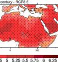 Unbearably hot: In the Middle East and North Africa, the average temperature in winter will rise by around 2.5 degrees Celsius (left) by the middle of the century, and in summer by around five degrees Celsius (right) if global greenhouse gas emissions continue to increase according to the business-as-usual scenario (RCP8,5). The cross-hatching indicates that the 26 climate models used are largely in agreement, and the dotting indicates an almost complete match.