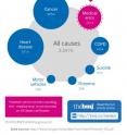 This infographic displays the common causes of death in the United States in 2013.