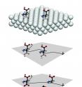Top: Aspartic acid molecules embedded in a crystalline lattice. Middle: A dislocation in the crystal, represented by the black line, gets hung up on the molecules. Bottom: The dislocation cuts one of the molecules. The strength of a covalent bond in the molecule ultimately determines the hardness of the crystal