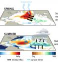 Top: Winds evaporate water from the subtropical North Atlantic ocean, leaving behind high levels of salinity during the spring. The exported moisture makes its way to the African Sahel, where it soaks the arid land and gradually builds up soil moisture over the course of three months.
Bottom: The soil moisture couples with convection in the atmosphere to create a feedback loop that draws in additional moisture from the North Atlantic and Mediterranean. This increases precipitation during the summer African monsoon season.