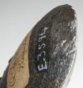 An example of a hafted axe similar to the one the unearthed flakes would have come from.