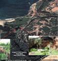 The only well-documented paleotsunami deposit in Hawai'i  from the 16th century is on Kaua`i. The Makauwahi sinkhole, on the side of a hardened sand dune, is viewed toward the southeast from an apparent altitude of 342 m. Inset photos show two of the wall edges, indicating the edges of the sinkhole. The east wall (left) is 7.2 m above mean sea level, and about 100 m from the ocean. Note for scale the people in the right image.