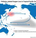 As iron is deposited from air pollution off the coast of East Asia, ocean currents carry the nutrient far and wide.