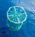 This is a rosette going into the water in Bermuda to sample SAR11.