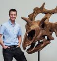 Dr. Jordan Mallon with the reconstructed skull of <i>Spiclypeus shipporum</i>, a newly described genus and species of horned dinosaur. The fossil comes from the Judith River Formation in Montana and dates to about 76 million years ago.