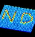 These are magnetic force microscopy images of the patterned magnetic charge ice with 'ND' letters (initials of Notre Dame).