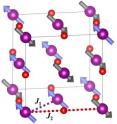 This is the magnetic structure of manganese oxide (MnO), with Mn ions as purple spheres and O ions as red spheres. The dashed purple line labeled J1 shows a direct-exchange interaction between nearest-neighbor Mn ions; J2 shows a superexchange interaction between second-nearest neighbor Mn ions through an intermediary O ion.