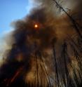 An experimental forest fire in Canada, simulating an intense wildfire, burning more than 5000m2 , with flames higher than 20m and temperatures on the ground of more than 900&deg;C.  Dr Cristina Santin took part in this research.