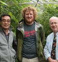 From left, USDA researchers Jian Duan and Timothy Watt and the University of Delaware's Doug Tallamy are studying use of a tiny, non-stinging wasp to combat the emerald ash borer.