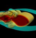 Garbage, nutrients and tiny animals are pushed around, suspended in the world's oceans by waves invisible to the naked eye according to a new 3-D model developed by mathematicians at the University of Waterloo.
<P>
The image shows the 3-D model of mode 2 internal waves.