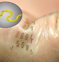 Fabricated in interlocking segments like a 3-D puzzle, the new integrated circuits could be used in wearable electronics that adhere to the skin like temporary tattoos. Because the circuits increase wireless speed, these systems could allow health care staff to monitor patients remotely, without the use of cables and cords.