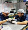 Ph.D. students Zhongkan Tang (left) and Rakhitha Chandrasekara (right) at the Centre for Quantum Technologies, National University of Singapore, are pictured working on a SPEQS unit.