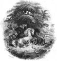 This is a historic illustration of Alexander von Humboldt's story of the battle between the horses and electric eels.