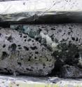 Section of rock core from the CO2 storage reservoir showing vesicular basalt with a well-defined fracture with calcium carbonate mineralization.