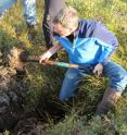 ORNL's Peter Thornton helps dig into saturated, anoxic soil on the Seward Peninsula.