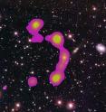 A radio contour overlay showing the newly discovered Matorny-Terentev Cluster RGZ-CL J0823.2+0333.
