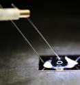 The biosensor chip -- consisting of a double stranded DNA probe embedded onto a graphene transistor -- electronically detects DNA SNPs.