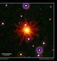 Images from Swift's Ultraviolet/Optical (white, purple) and X-Ray telescopes (yellow and red) were combined in this composite of Swift J1644+57, an X-ray outburst astronomers classify as a tidal disruption event. The event is seen only in the X-ray image, which is a 3.4-hour exposure taken on March 28, 2011. The outburst was triggered when a passing star came too close to a supermassive black hole. The star was torn apart, and much of the gas fell toward the black hole. To date, this is the only tidal disruption event emitting high-energy X-rays that astronomers have caught at peak luminosity.