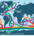 Ocean waters circulate globally, rising in some regions and sinking in others.