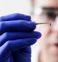 Matthew Aliota, assistant scientist in the Department of Pathobiological Sciences in the University of Wisconsin-Madison School of Veterinary Medicine, works with a strain of <em>Aedes aegypti</em> mosquito in a research lab insectary in the Hanson Biomedical Sciences Building May 17, 2016.