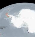 This graphic shows projected changes to the status of Ad&eacute;lie penguin colonies through the year 2099.