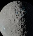 At the poles of Ceres, scientists have found craters that are permanently in shadow (indicated by blue markings). Such craters are called "cold traps" if they remain below about minus 240 degrees Fahrenheit (minus 151 degrees Celsius). These shadowed craters may have been collecting ice for billions of years because they are so cold. 

This image was created using data from NASA's Dawn spacecraft.